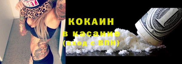 spice Бикин