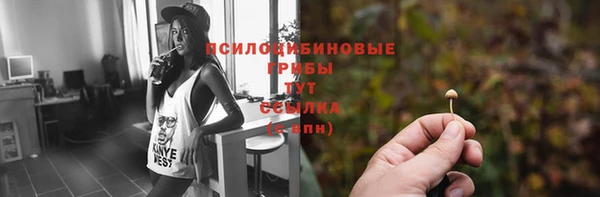 spice Бикин