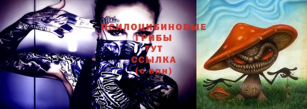 МДПВ Беслан
