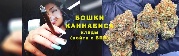 spice Бикин
